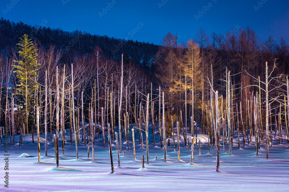 Biei, Japan at Aoike Blue Pond in winter