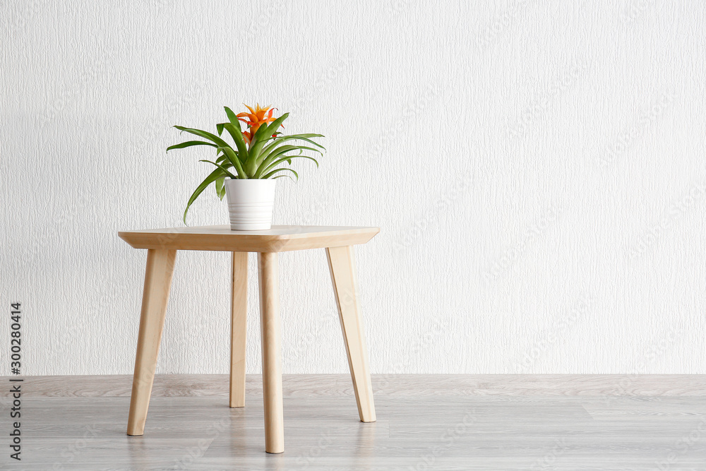 Stylish table with houseplant near white wall