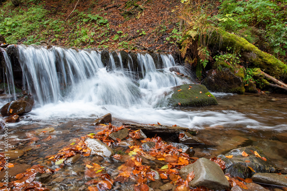 Colorful majestic waterfall in autumn forest