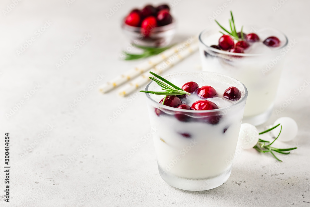 White Christmas cranberry cocktail . Selective focus, space for text.