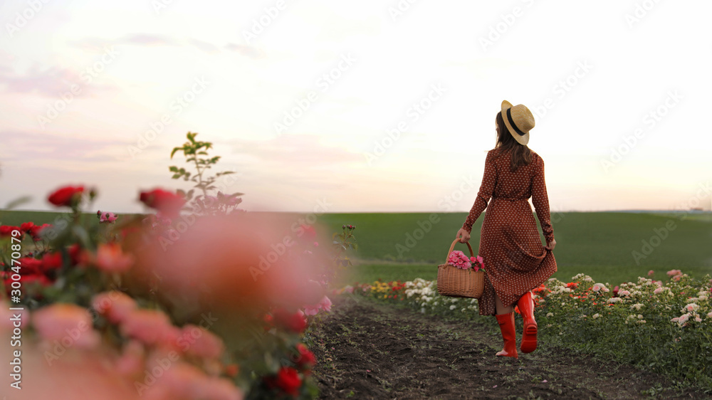 Woman with basket of roses in beautiful blooming field