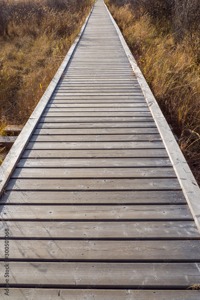 道の果てへ　The end of the wooden path