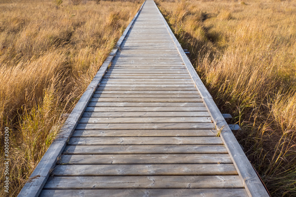 道の果てへ　The end of the wooden path