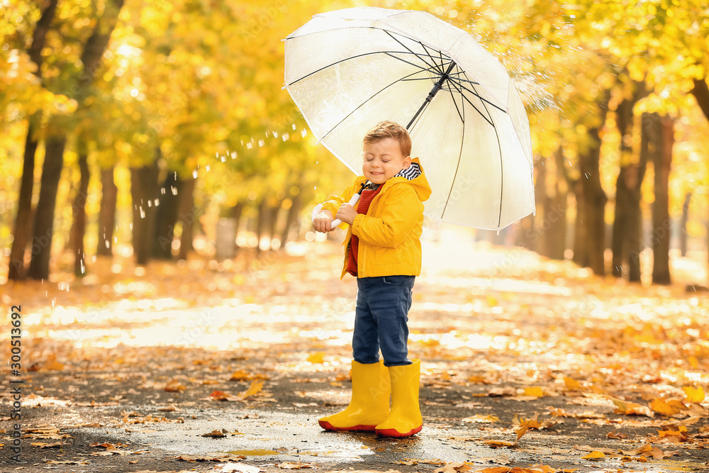 Cute little boy with umbrella in autumn park