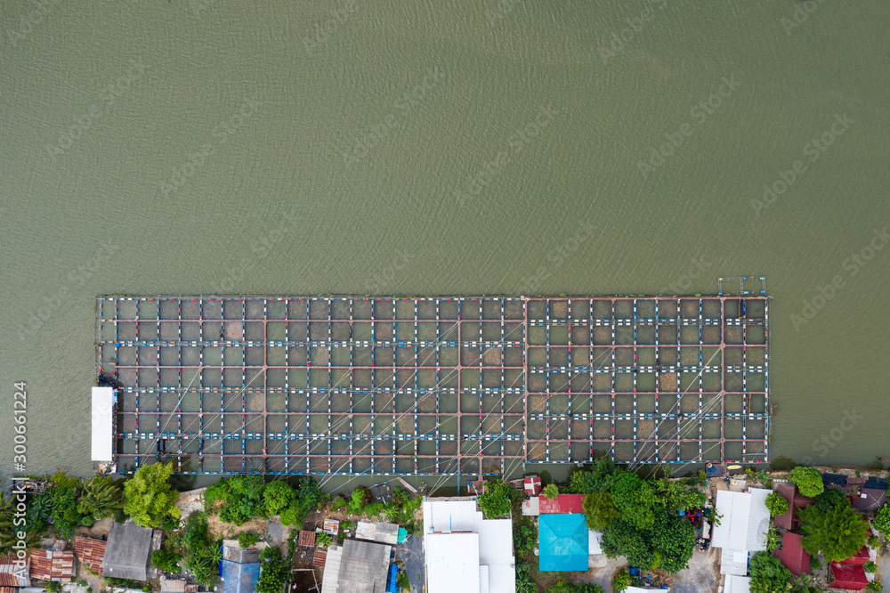 Traditional groove fish cage feeding in river