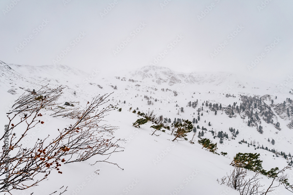 A winter alpine mountain landscape in a snow storm.