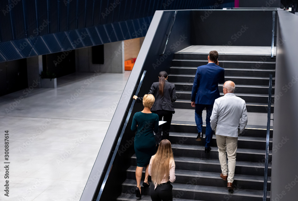 Diverse group of business people of all ages walking together and talking in modern interior