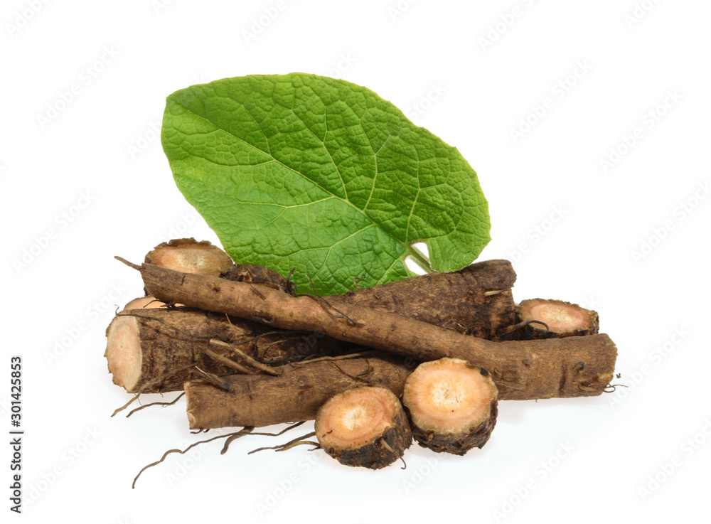 Burdock roots isolated on white background