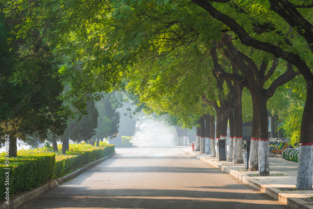 公园道路