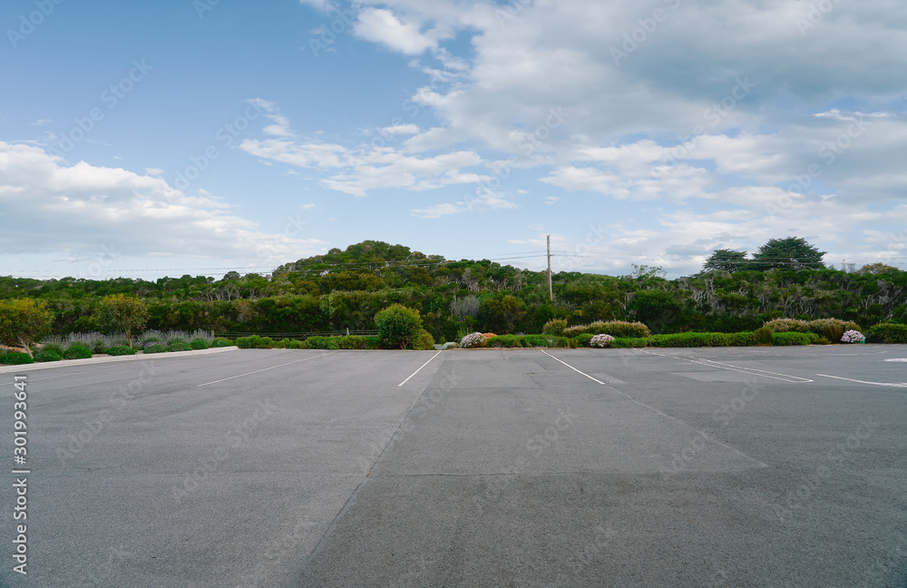 Empty street with trees and sky background