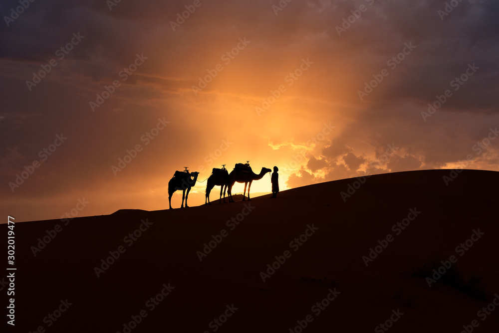 The beauty of the sand dunes in the Sahara Desert in Morocco. The Sahara Desert is the largest hot d