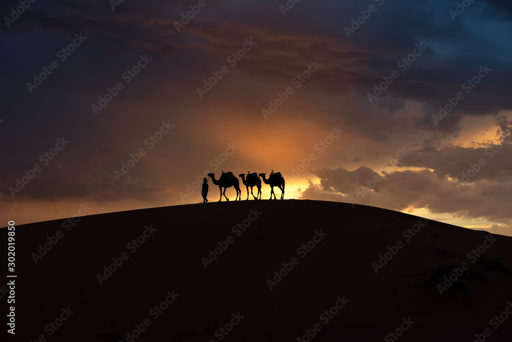 The beauty of the sand dunes in the Sahara Desert in Morocco. The Sahara Desert is the largest hot d