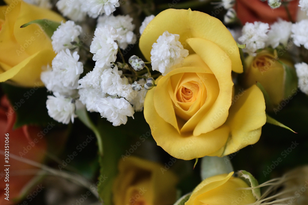 bouquet of flowers