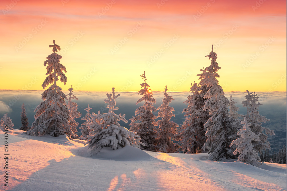 阳光照耀下的雪山中令人惊叹的橙色冬季景观。戏剧性的冬季场景