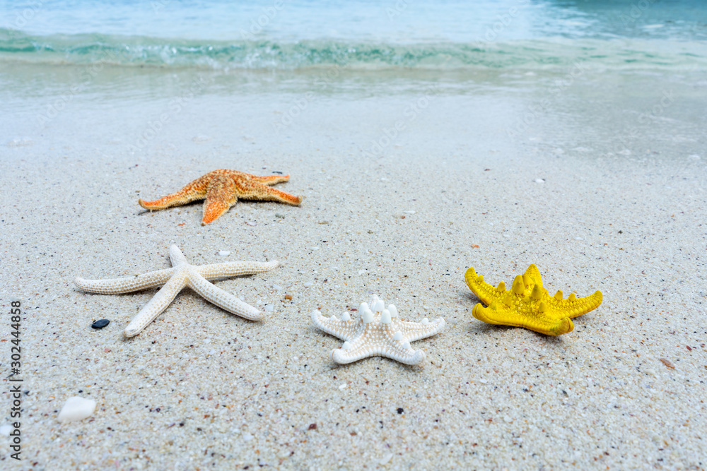 阳光明媚的沙滩上的海星，假日时间概念夏天的美丽海水