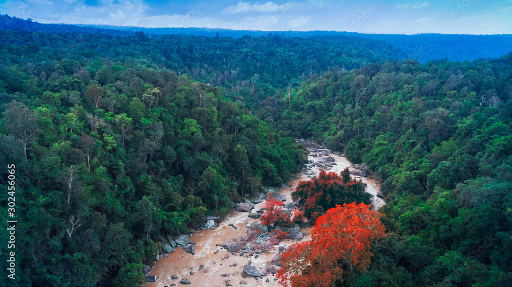 Aerial view of beautiful natural river green forest with mountains for background.