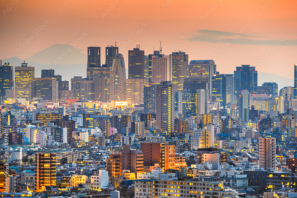 日本东京，新宿区和富士山的城市景观