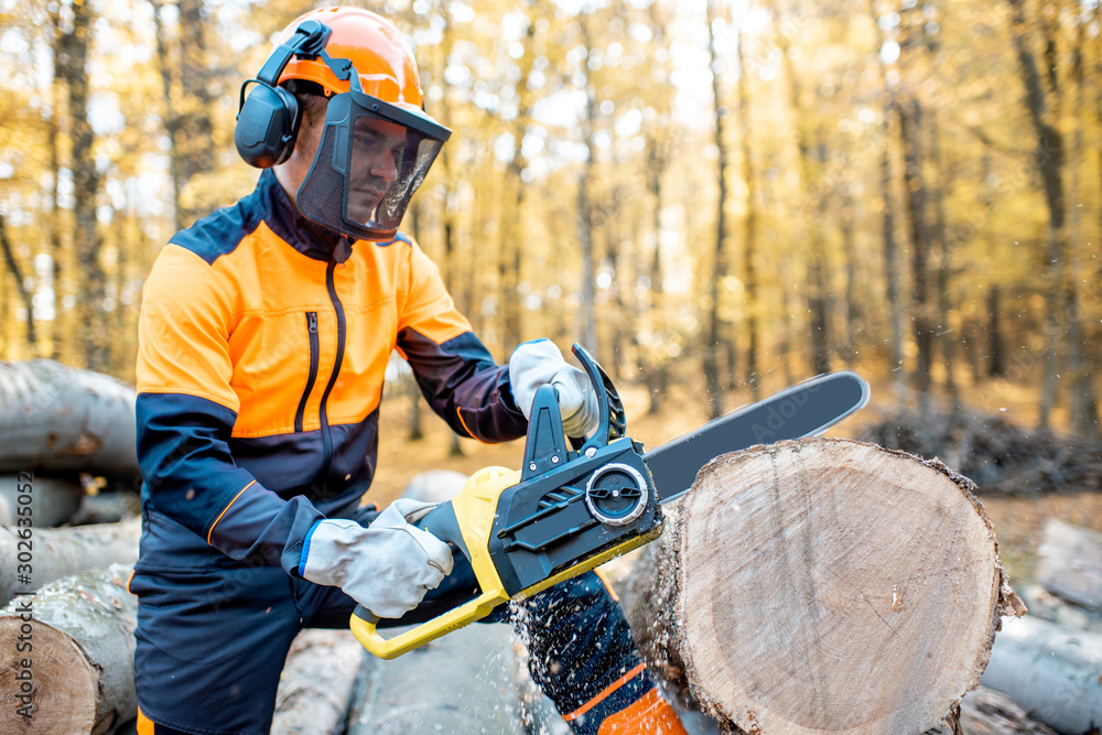 Professional lumberjack in protective workwear working with a chainsaw in the forest, sawing a thick