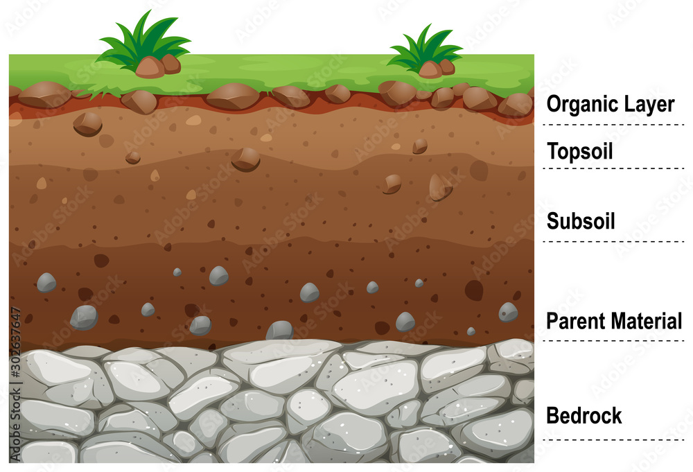 不同土层示意图