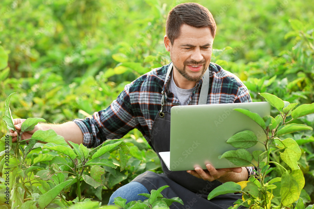 Male agricultural engineer working in field