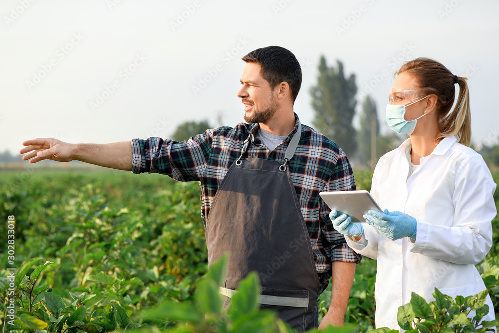 Agricultural engineers working in field