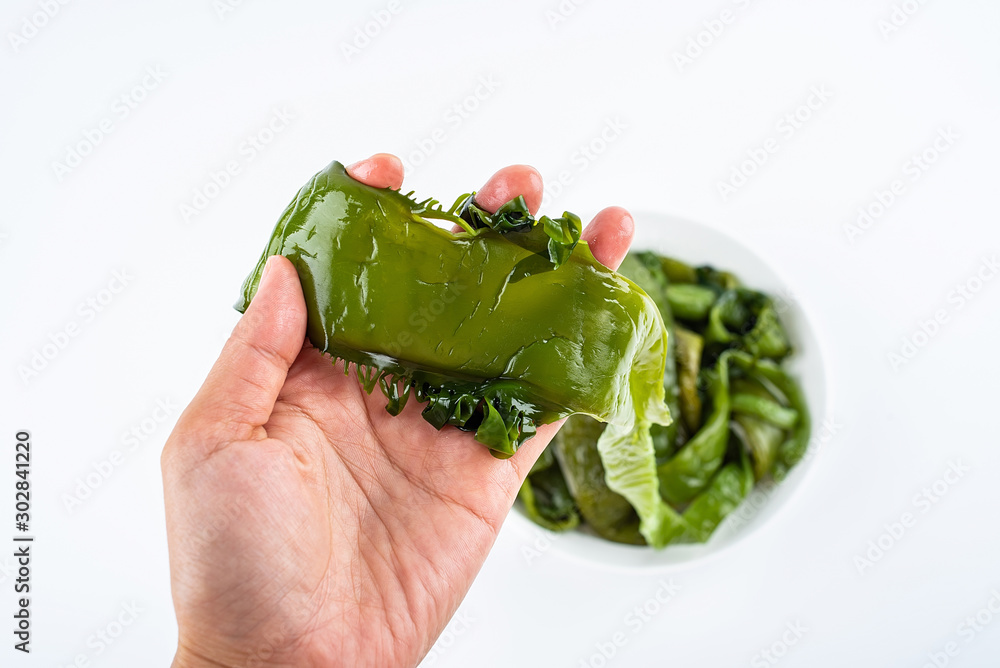 Hand holding a fresh green sea cabbage