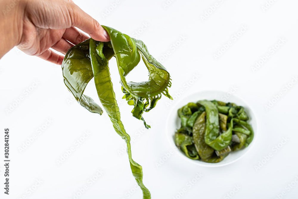 Hand holding a fresh green sea cabbage