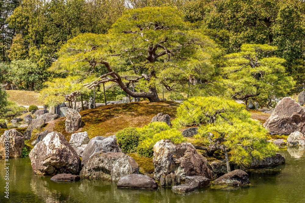 Garden in Nijo Castle, Kyoto, Japan