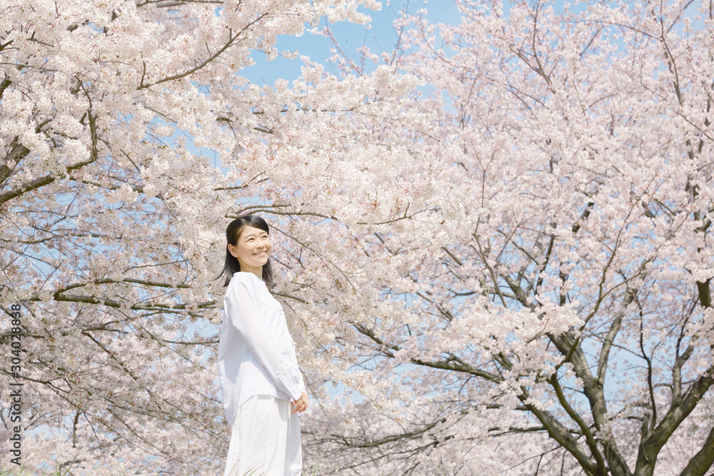 女性　桜