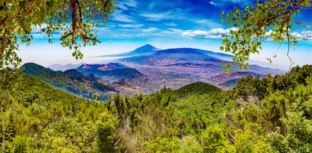 Masca valley.Canary island.Tenerife.Spain.Scenic mountain landscape.Cactus,vegetation and sunset pan