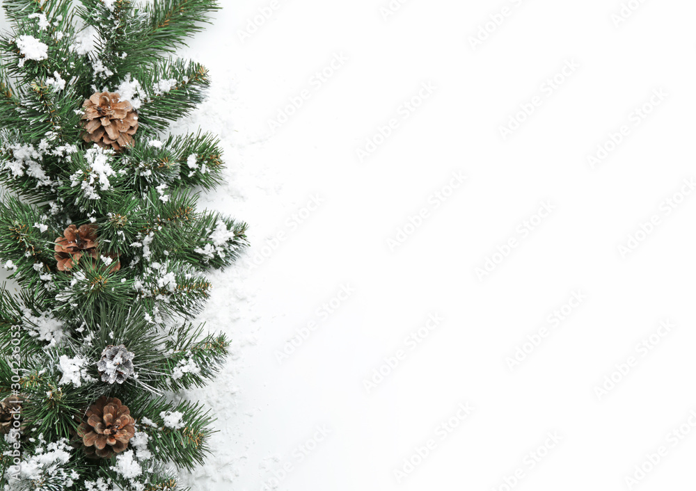 Beautiful Christmas tree branches with snow and cones on white background