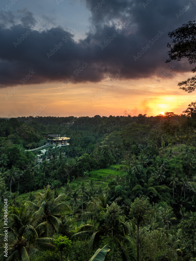 November, 2019: Sunset over rice field. Ubud, Bali