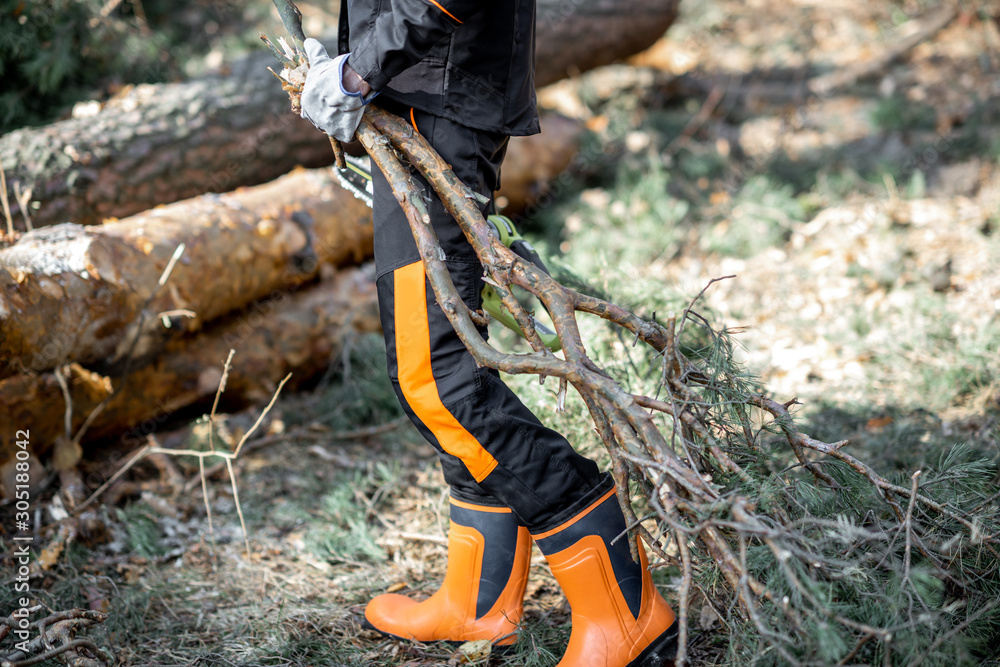 Lumberjack in protective workwear carrying tree branches while logging in the forest, close-up with 