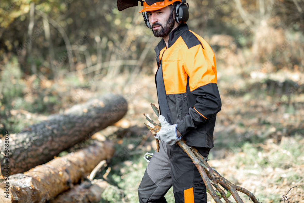 Professional lumberjack in protective workwear carrying tree branches while logging in the pine fore