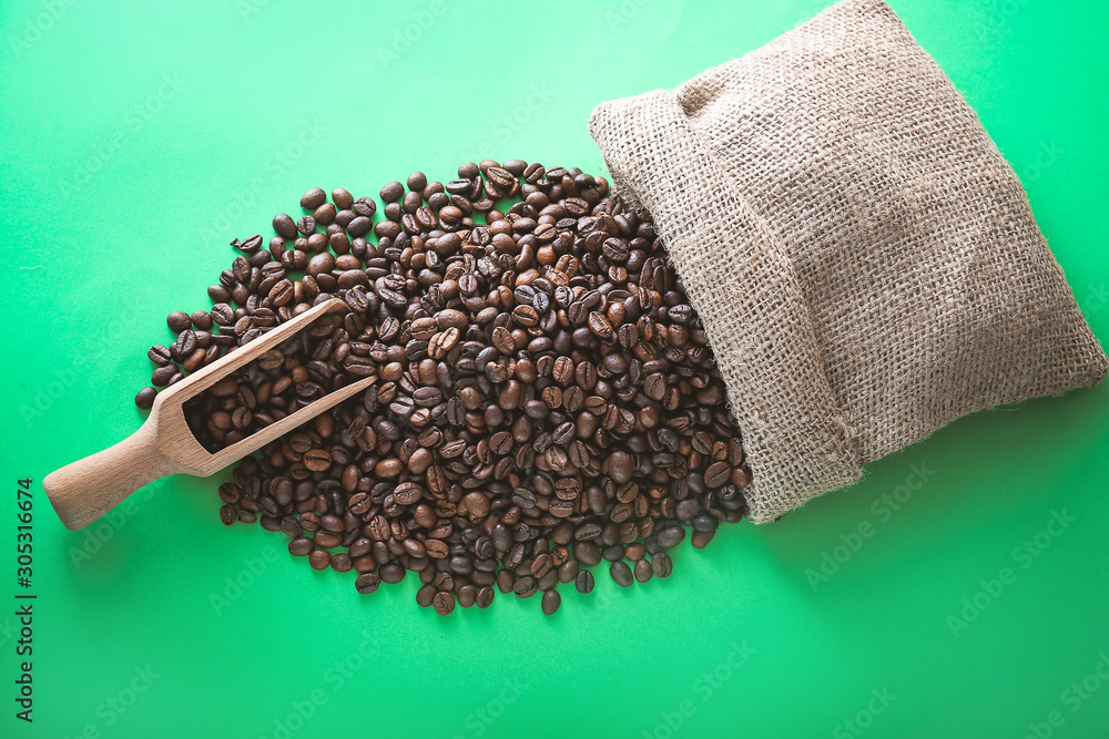 Bag and scoop with roasted coffee beans on color background