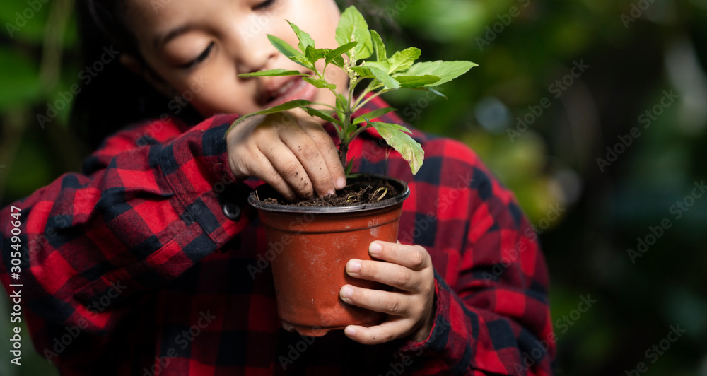 亚洲孩子手里拿着幼小的绿色植物。生态和安全的世界观。