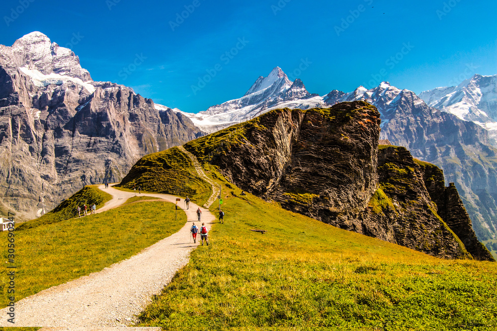 Grindelwald First It is a very popular place nature of Switzerland, the weather is good in summer an