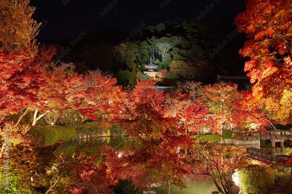 京都もみじの名所のライトアップ