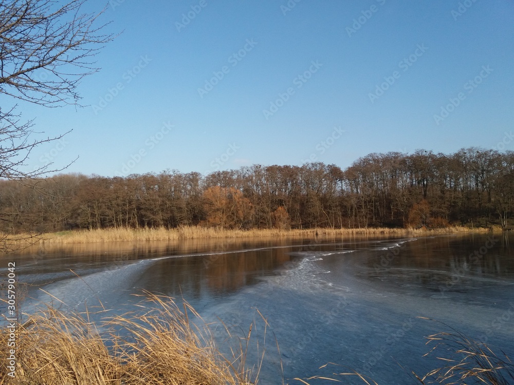 秋天的湖泊。景观。水。自然