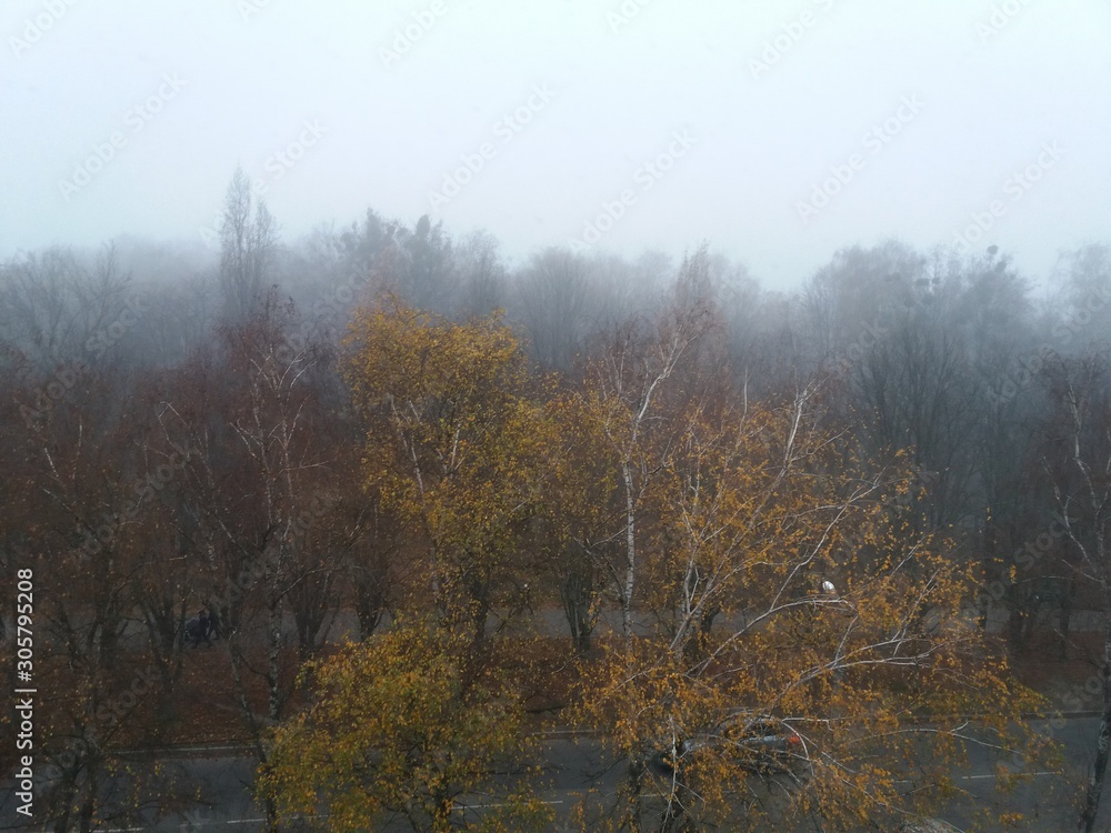 秋天的湖。风景。水。自然