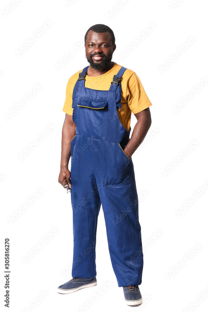 African-American car mechanic on white background