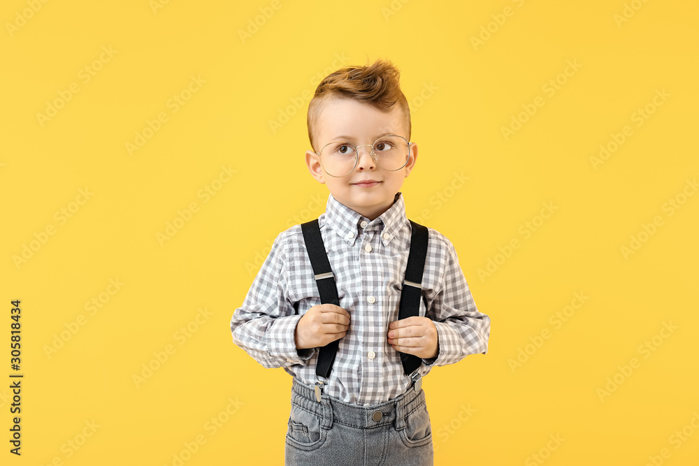 Portrait of stylish little boy on color background