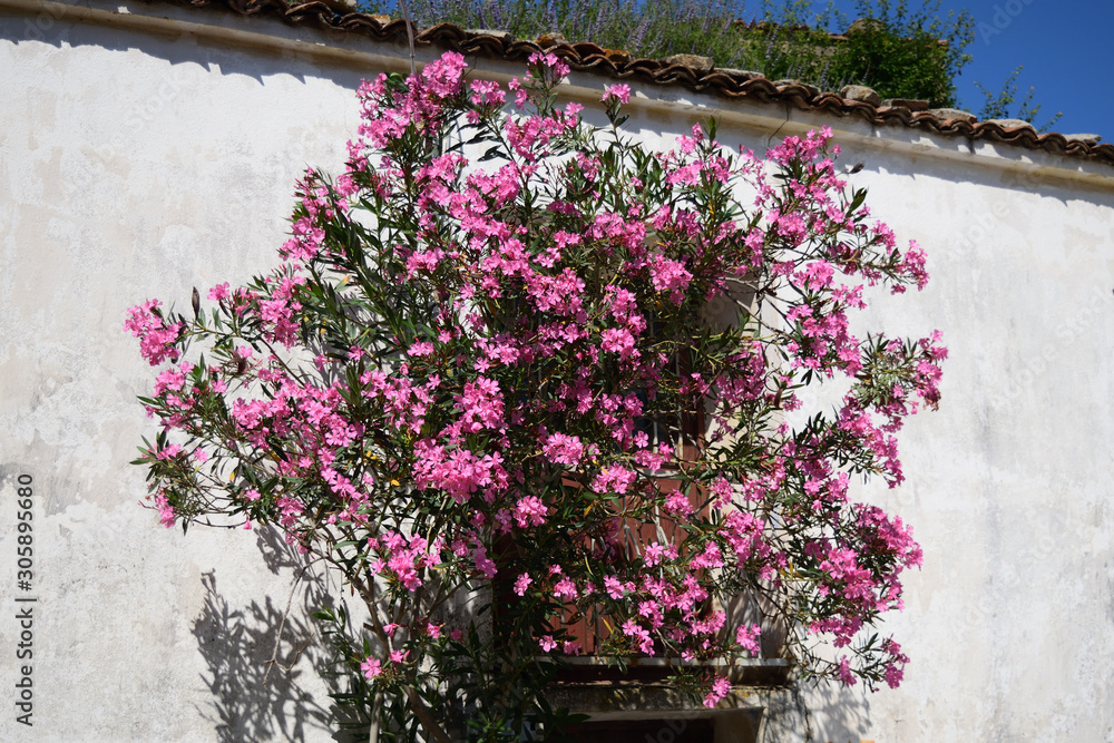 希腊村庄Zeytinlikoy（Agios Theodoros）-土耳其爱琴岛Gokceada的景色