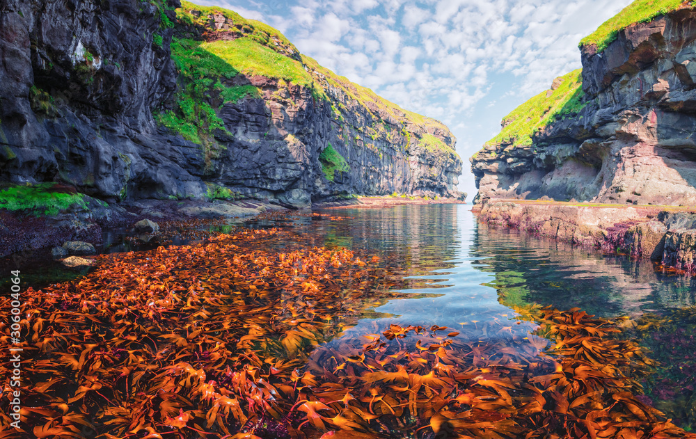 Beautiful view of dock or harbor with clear water and red seaweed in Gjogv village, Eysuroy island, 