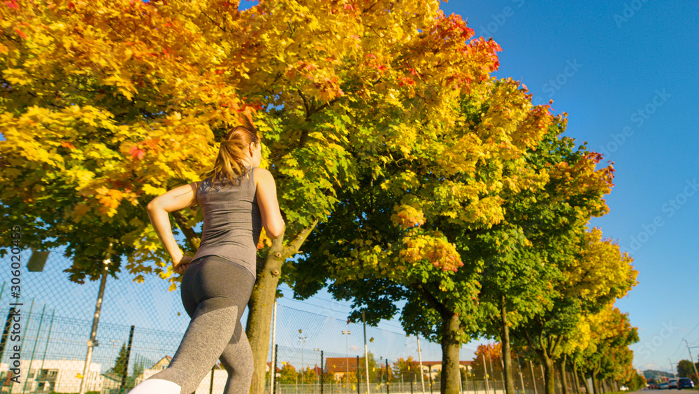 LOW ANGLE, CLOSE UP: Fit young woman jogs along a scenic autumn colored avenue.