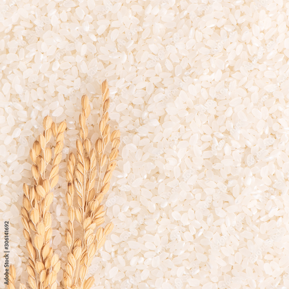 Raw white polished milled edible rice crop on white background in brown bowl, organic agriculture de