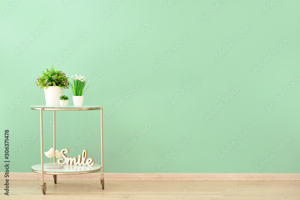 Table with houseplants near color wall in room