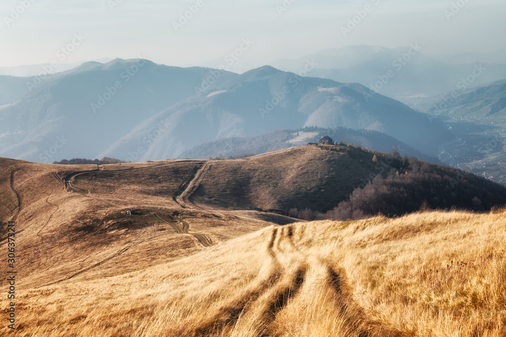 Yellow grass trembling in the wind in autumn mountains