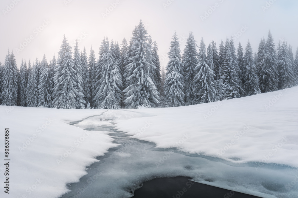 Fantastic winter landscape with snowy trees