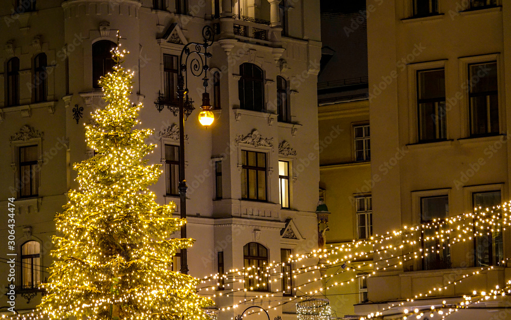 CLOSE UP: Picturesque Christmas tree is lit up in the main square of Vienna.